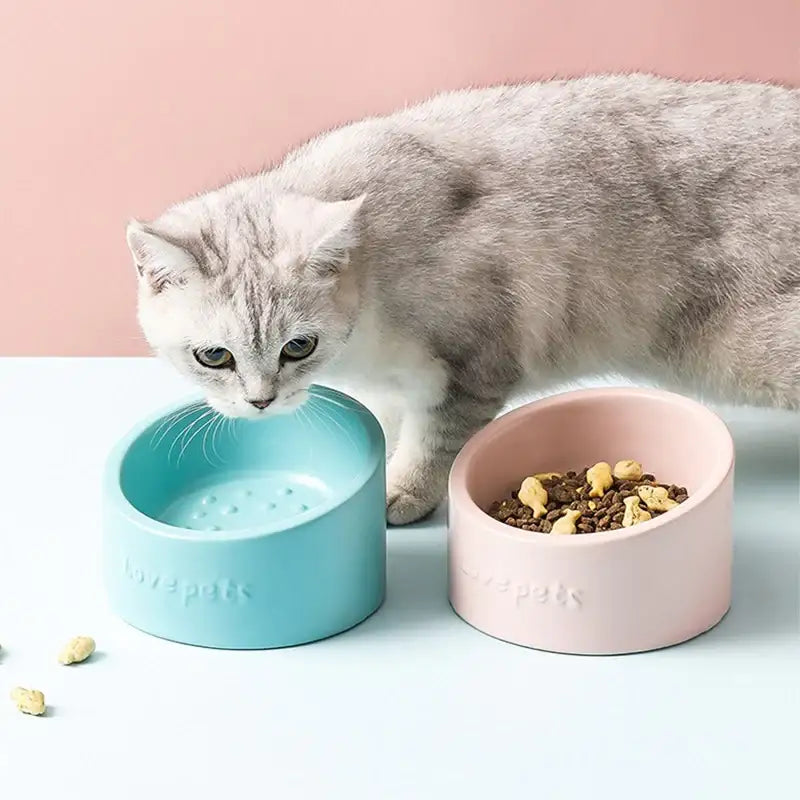 Yog!ssw - Pastel Dot Ceramic Bowl - Jungle Monster - Pet - Harumio