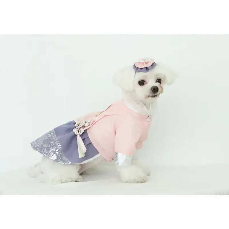 ITSDOG - Pet Sena Female Hanbok - ITSDOG - Pet Clothes - Harumio