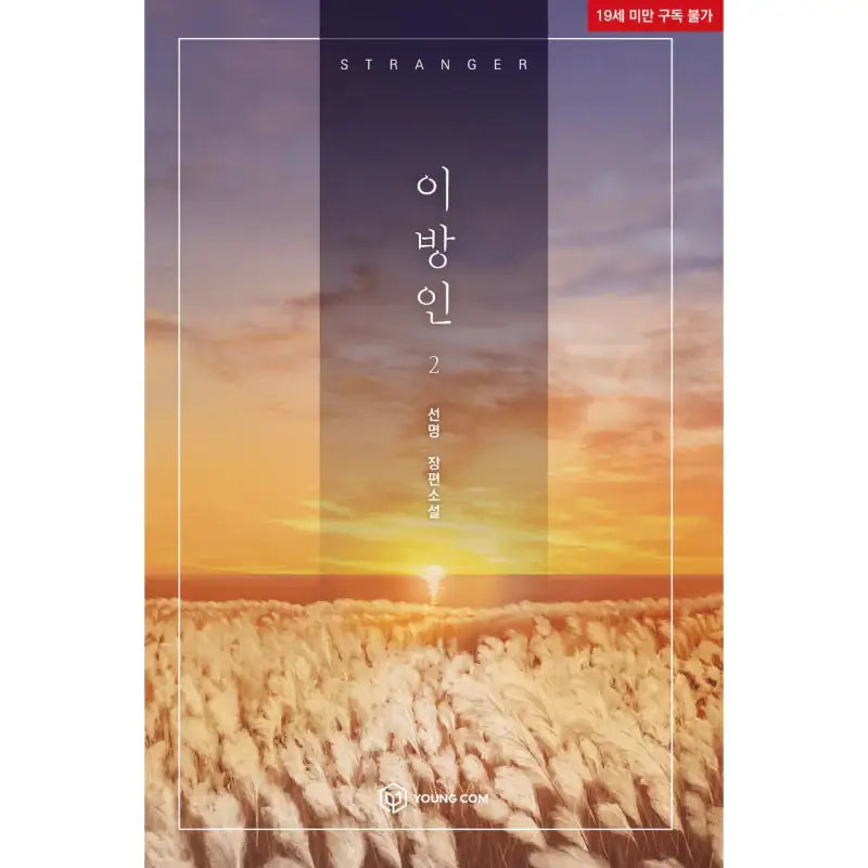 Stranger - Novel - YOUNGCOM - Novel - Harumio