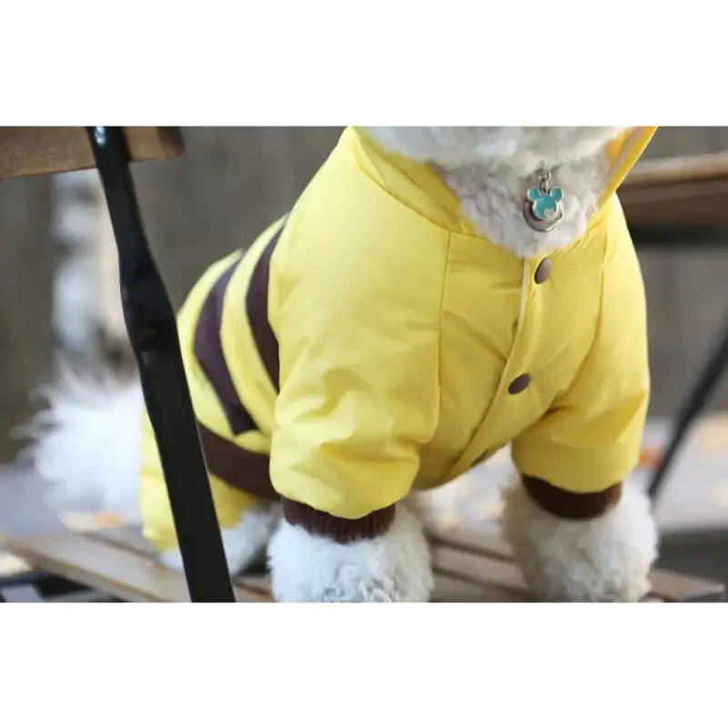 ITSDOG - Pet Honey Bee Padded All In One - ITSDOG - Pet Clothes - Harumio