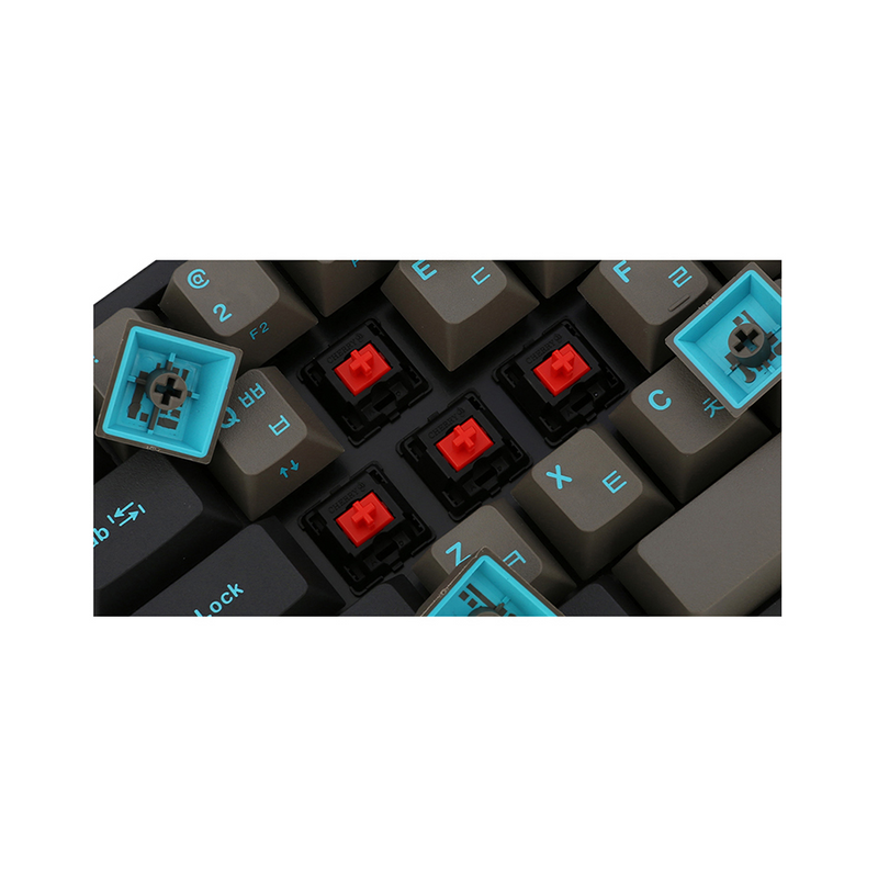 Leopold FC660M PD - Graphite Blue