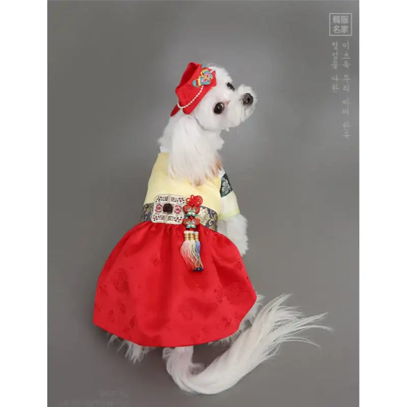 ITSDOG - Pet Ewha Colorful Striped Princess Hanbok - ITSDOG - Pet Clothes - Harumio