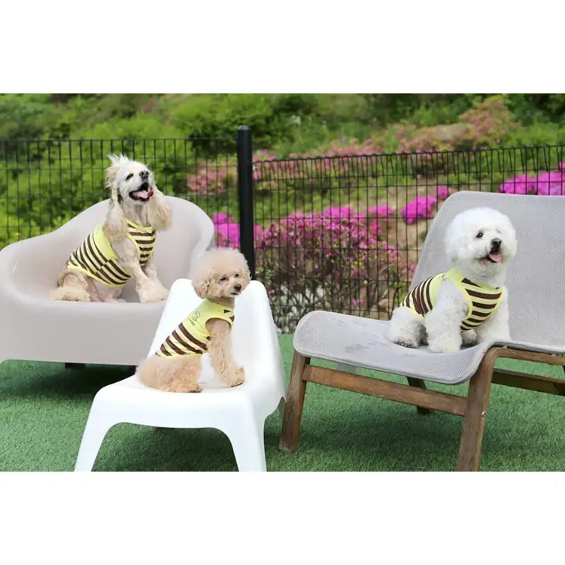 ITSDOG - Pet Honey Bee Rash Guard - ITSDOG - Pet Clothes - Harumio