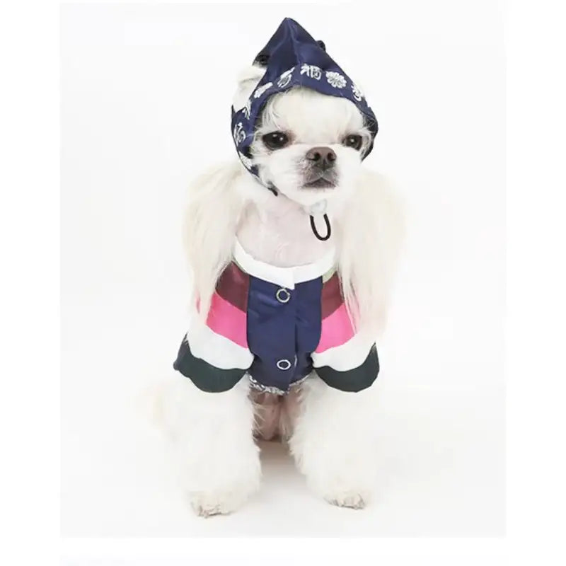 ITSDOG - Pet Prince Gunwoo Hanbok - ITSDOG - Pet Clothes - Harumio