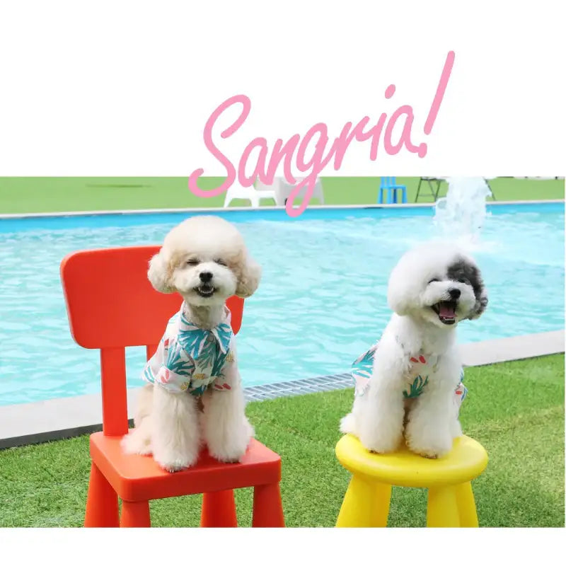ITSDOG - Pet Sangria Shirt - ITSDOG - Pet Clothes - Harumio