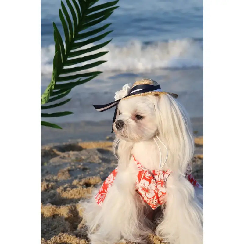 ITSDOG - Pet Honeymoon Dress - ITSDOG - Pet Clothes - Harumio