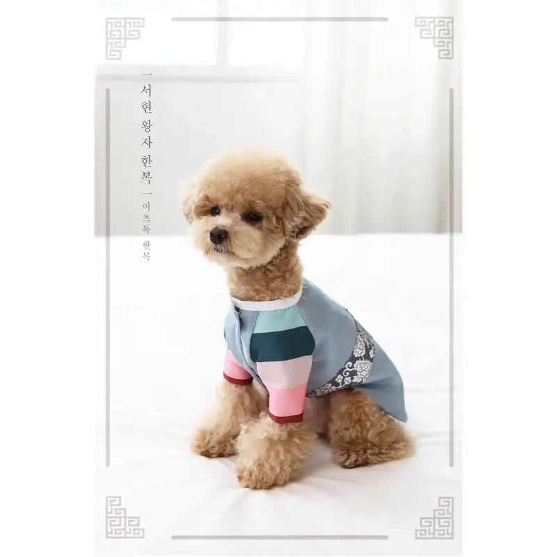ITSDOG - Handmade Pet Prince Seohyun Hanbok - ITSDOG - Pet Clothes - Harumio