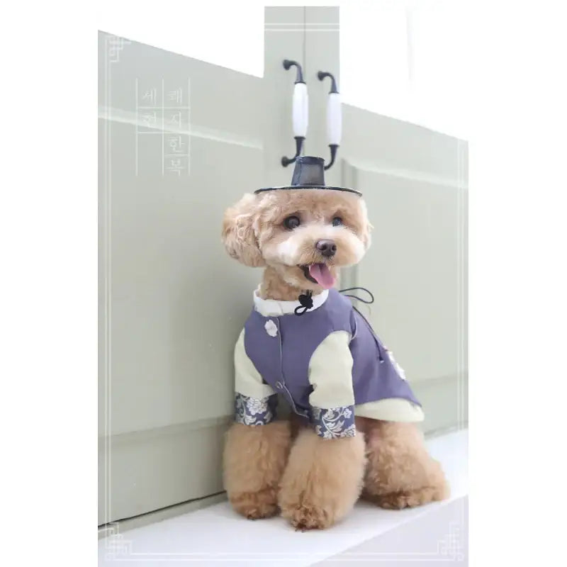 ITSDOG - Pet Sehyun Male Hanbok - ITSDOG - Pet Clothes - Harumio