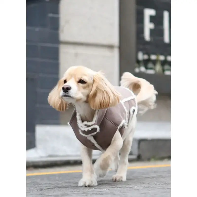 ITSDOG - Pet Snow Latte Mouton Vest - ITSDOG - Pet Clothes - Harumio