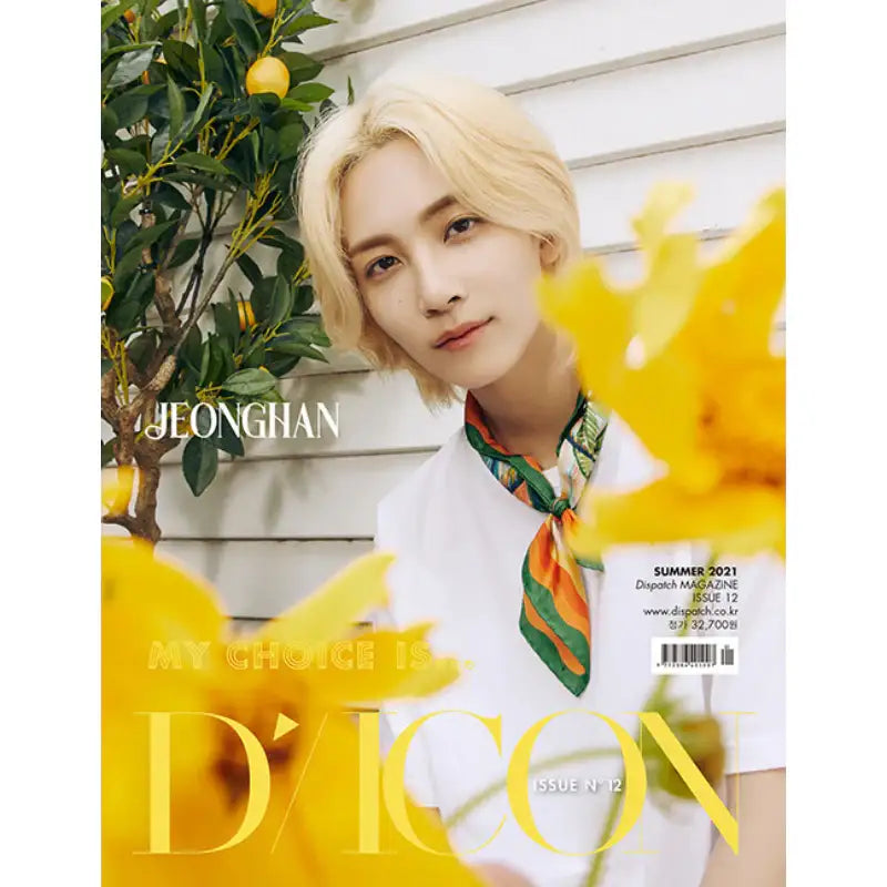 D-Icon - Vol.12 - MY CHOICE IS... SEVENTEEN Magazine - D-Icon - Magazine - Harumio