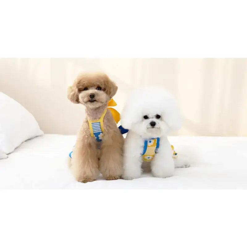 ITSDOG - Pet Daisy Beach One Piece - ITSDOG - Pet Clothes - Harumio