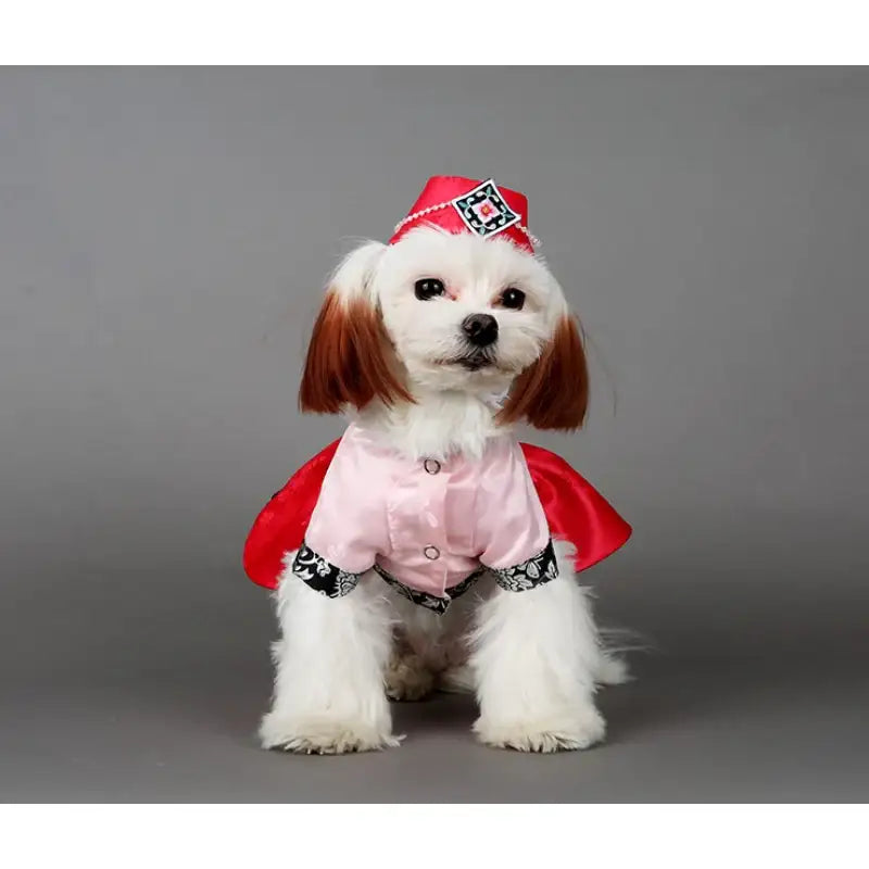 ITSDOG - Pet Yoonseul Princess Hanbok - ITSDOG - Pet Clothes - Harumio