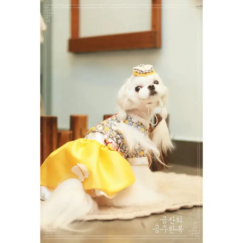 ITSDOG - Pet Marigold Princess Hanbok - ITSDOG - Pet Clothes - Harumio