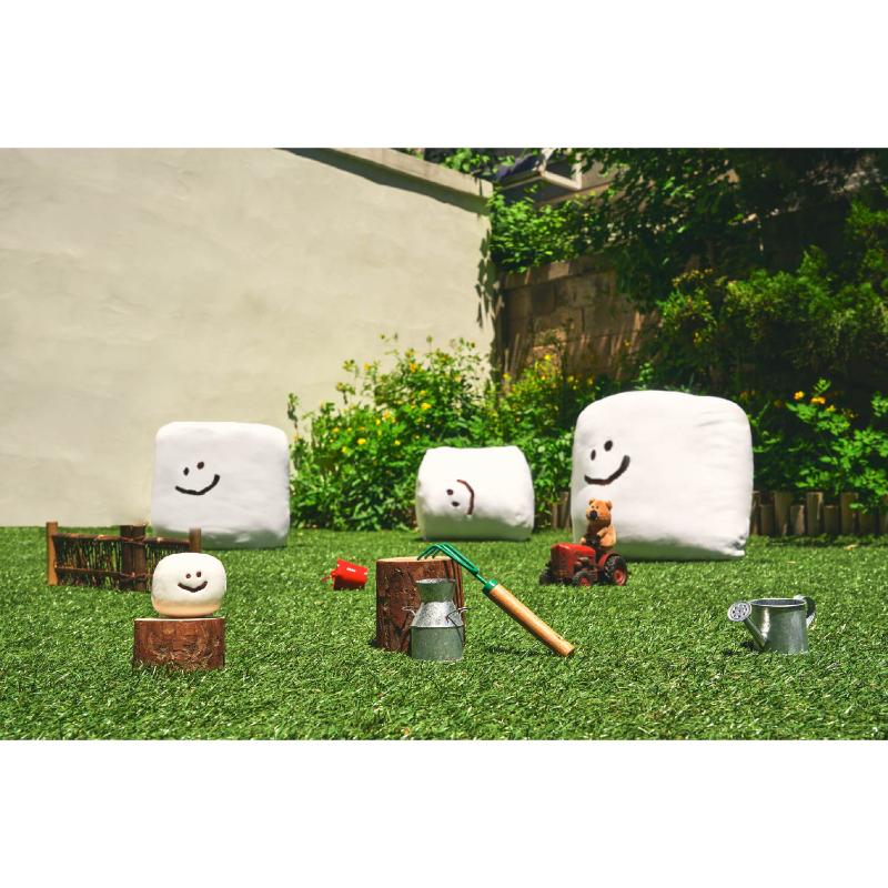 Dinotaeng - Giant Marsh on the field Cushion