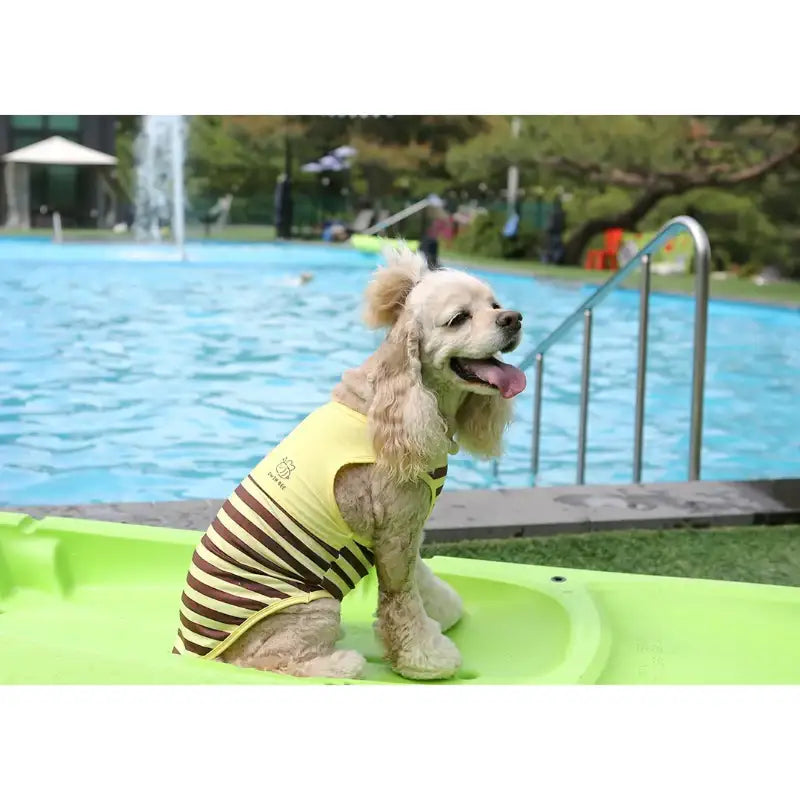 ITSDOG - Pet Honey Bee Rash Guard - ITSDOG - Pet Clothes - Harumio