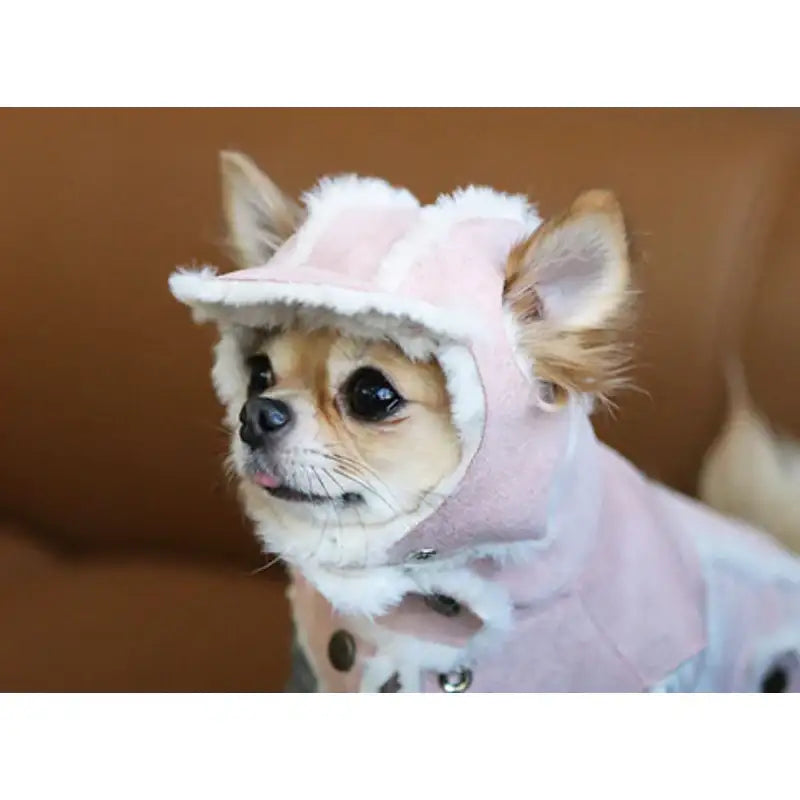 ITSDOG - Pet Snow Latte Mouton Cap - ITSDOG - Pet Accesories - Harumio