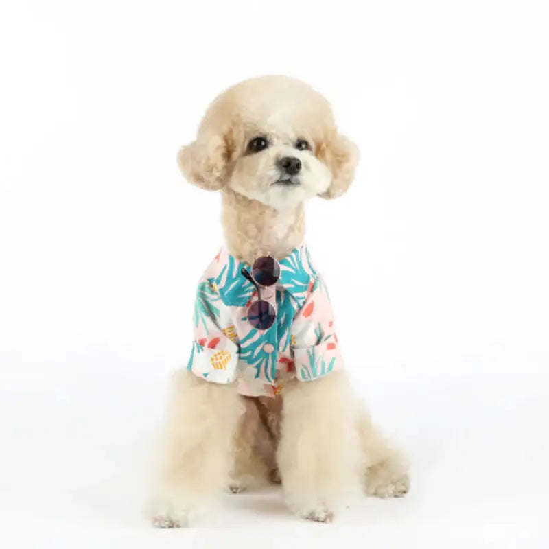 ITSDOG - Pet Sangria Shirt - ITSDOG - Pet Clothes - Harumio