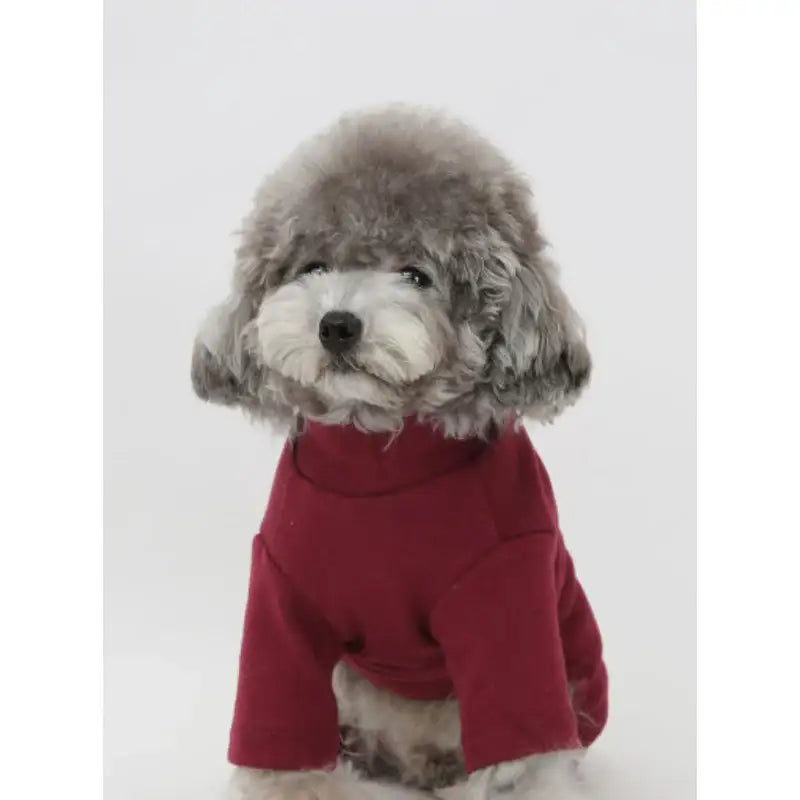 ITSDOG - Pet Warm Up All In One - ITSDOG - Pet Clothes - Harumio