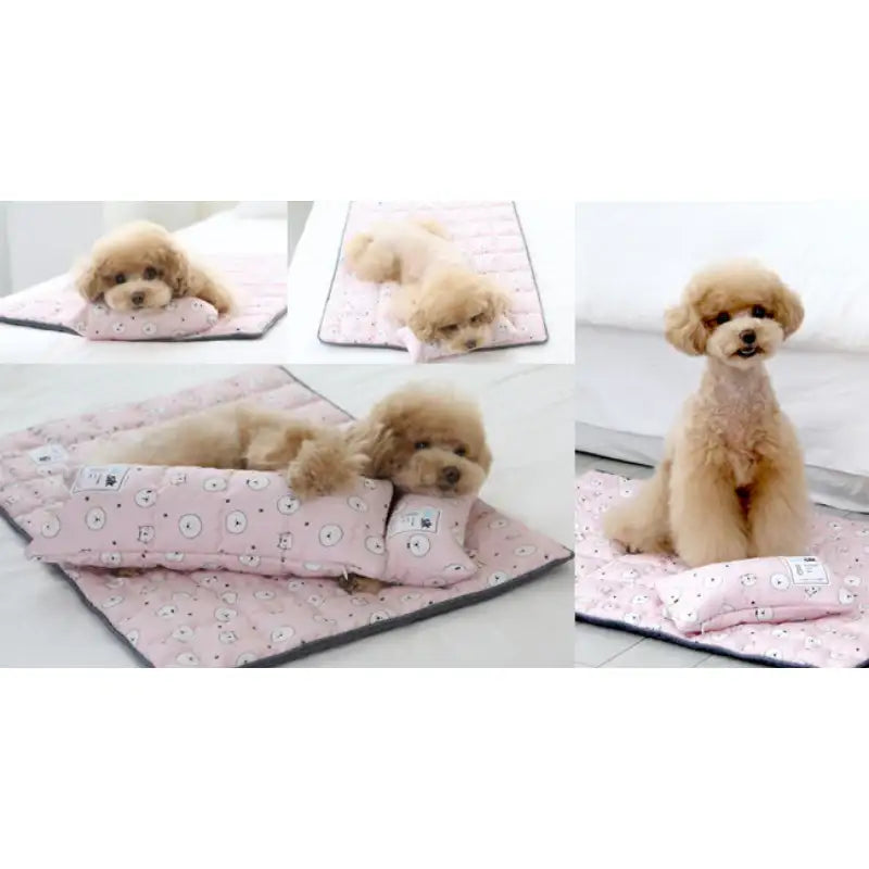 ITSDOG - Dog Cooling Mat - ITSDOG - Pet Accesories - Harumio