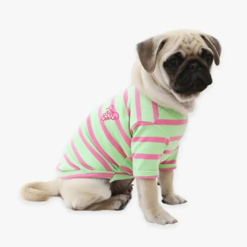 ITSDOG - Pet Neon Candy Striped T-Shirt - ITSDOG - Pet Clothes - Harumio