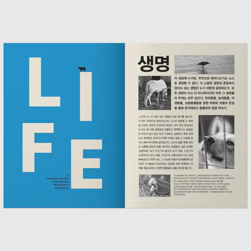 OhBoy! - No.117 - Magazine - Gooddog Publishing - Magazine - Harumio
