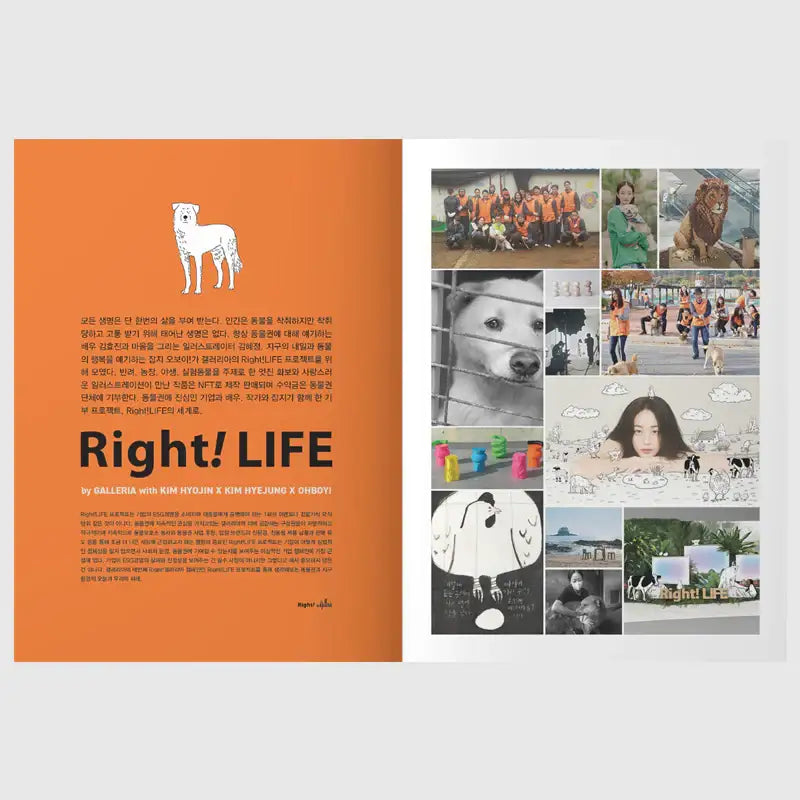 OhBoy! - No.117 - Magazine - Gooddog Publishing - Magazine - Harumio