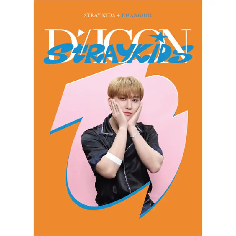 DICON - D’FESTA Mini Edition Stray Kids - Dicon - Magazines - Harumio