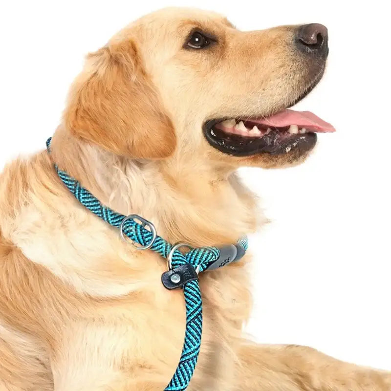 Yog!ssw - Dog P-Shaped All-In-One Lead Leash - Jungle Monster - Pet - Harumio