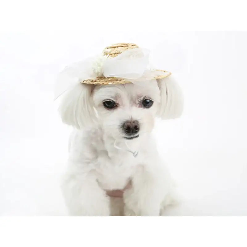 ITSDOG - Pet Straw Hat - ITSDOG - Pet Accesories - Harumio
