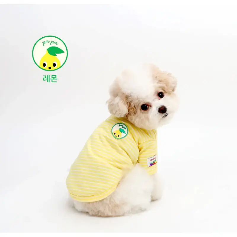 ITSDOG - Pet Jam Jam Striped Shirt - ITSDOG - Pet Clothes - Harumio