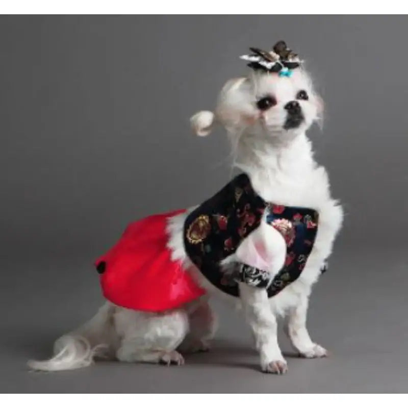 ITSDOG - Pet Gold Embroidery Hanbok Vest - ITSDOG - Pet Clothes - Harumio