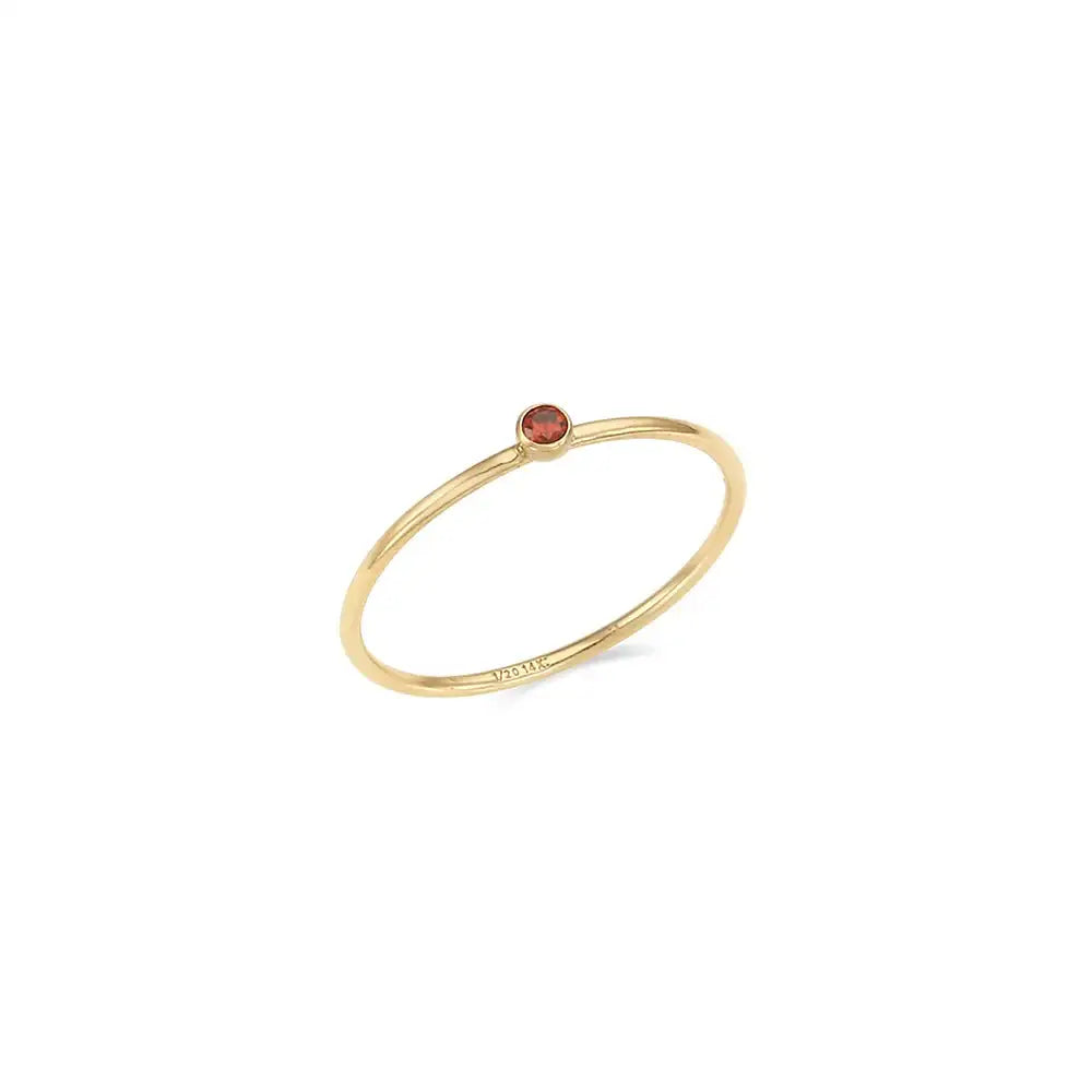CLUE - 14K Gold Filled Eternal Garnet Ring - CLUE - Rings - Harumio