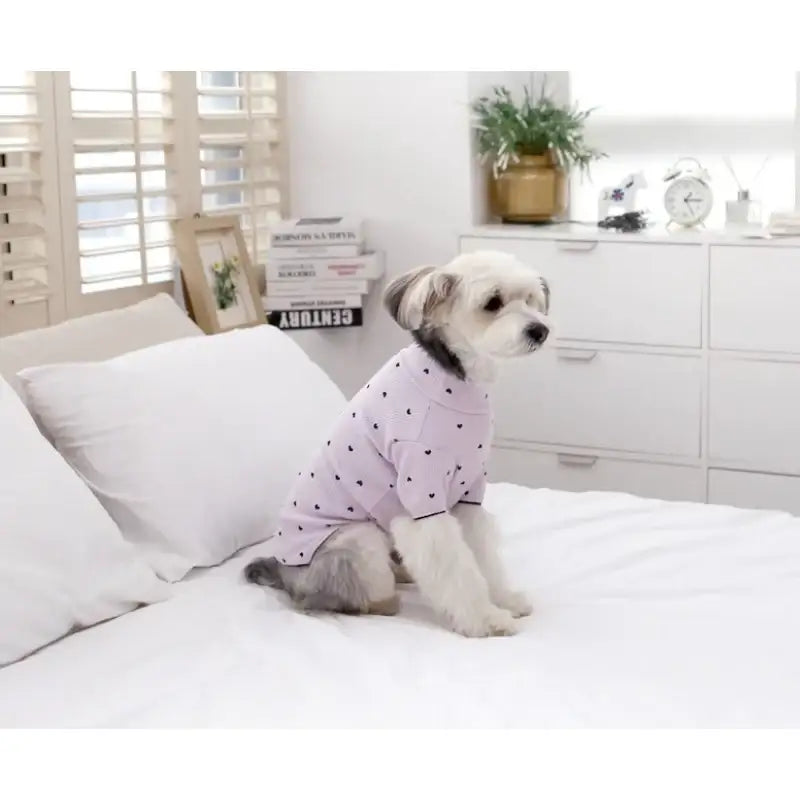 ITSDOG - Pet Heart T-Shirt - ITSDOG - Pet Clothes - Harumio