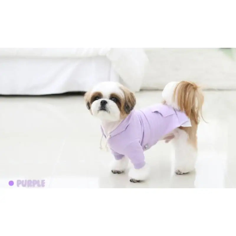 ITSDOG - Pet Macaroon Hoodie - ITSDOG - Pet Clothes - Harumio
