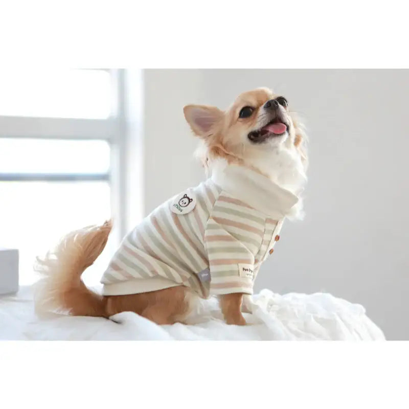 ITSDOG - Pet Organic Teddy Bear Polo Shirt - ITSDOG - Pet Clothes - Harumio