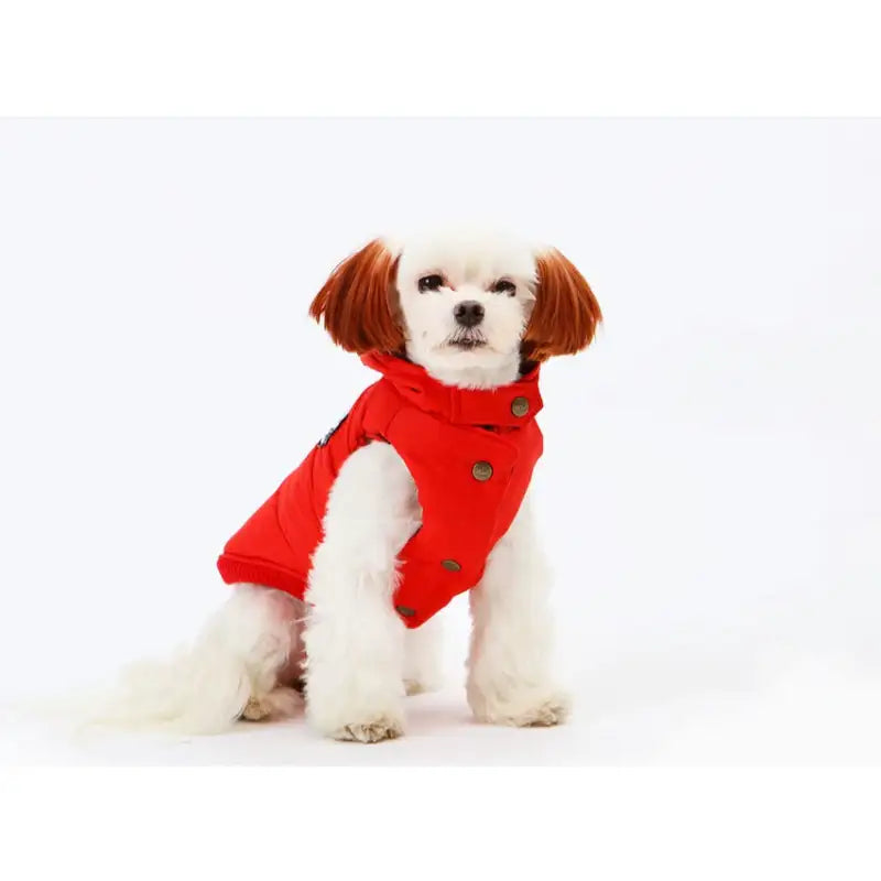 ITSDOG - Pet Reversible Checked Padded Vest - ITSDOG - Pet Clothes - Harumio