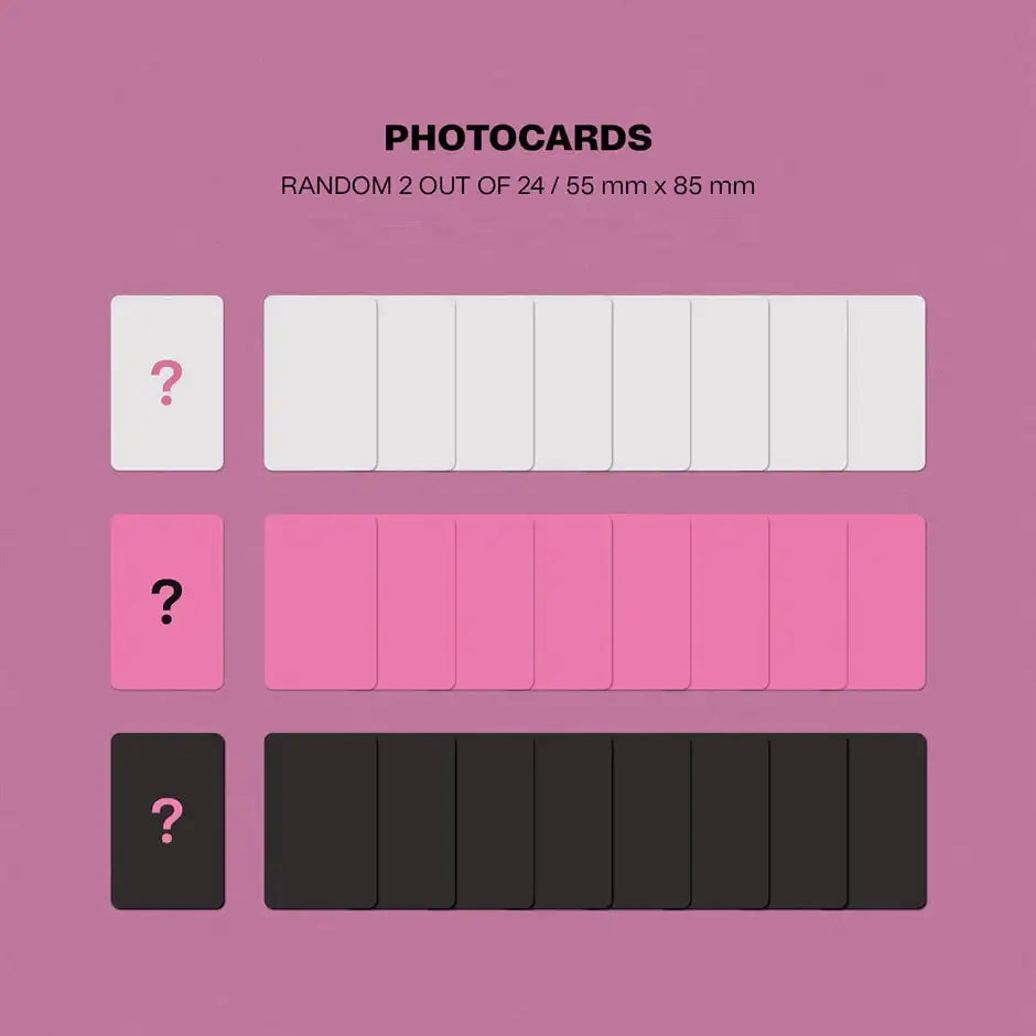 Stray Kids - Maxident : 7th Mini Album Limited Edition (GO Version) - Stray Kids - Album - Harumio