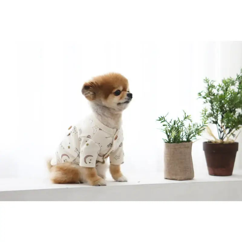 ITSDOG - Pet Organic Momoland Cardigan - ITSDOG - Pet Clothes - Harumio