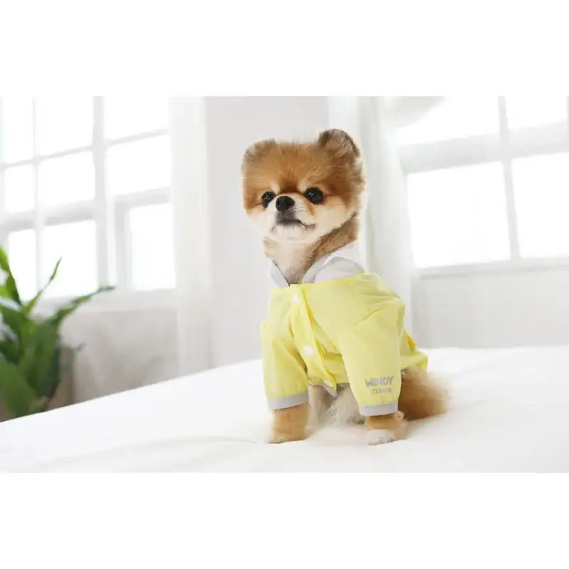 ITSDOG - Pet Pastel Windy Jumper - ITSDOG - Pet Clothes - Harumio