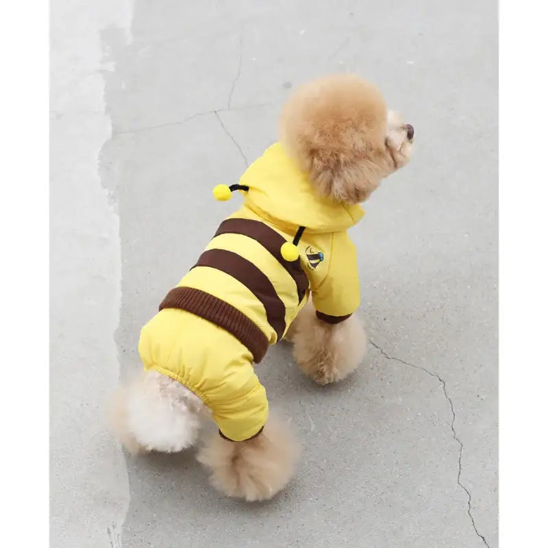 ITSDOG - Pet Honey Bee Padded All In One - ITSDOG - Pet Clothes - Harumio