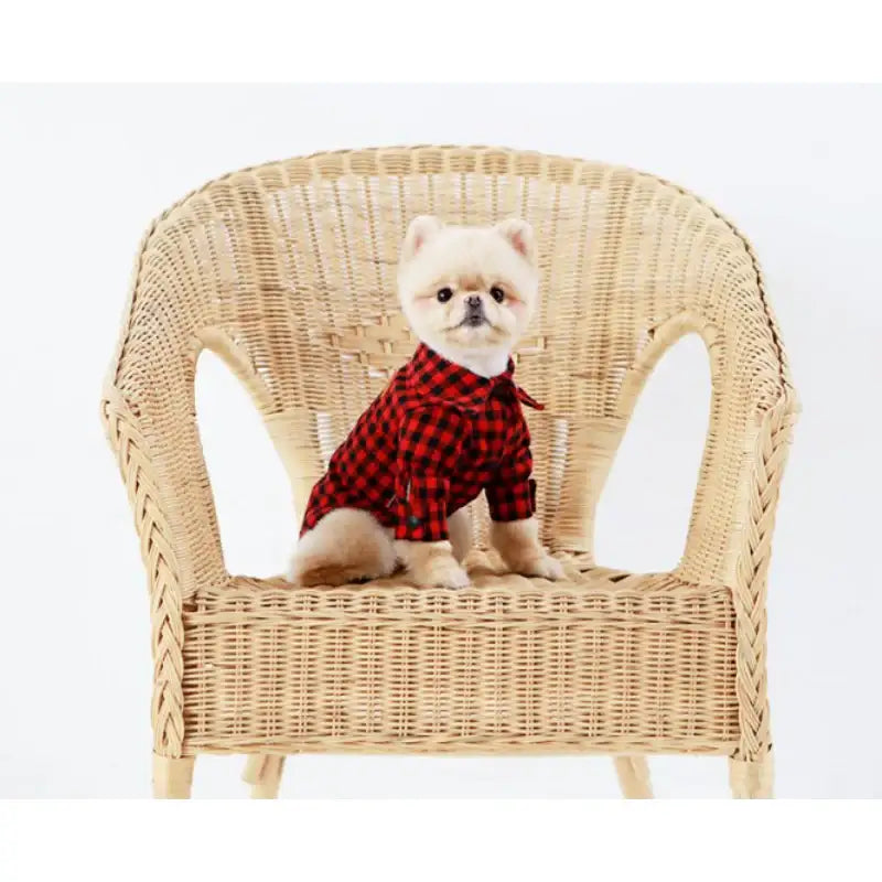 ITSDOG - Pet Gingham Checked Shirt - ITSDOG - Pet Clothes - Harumio