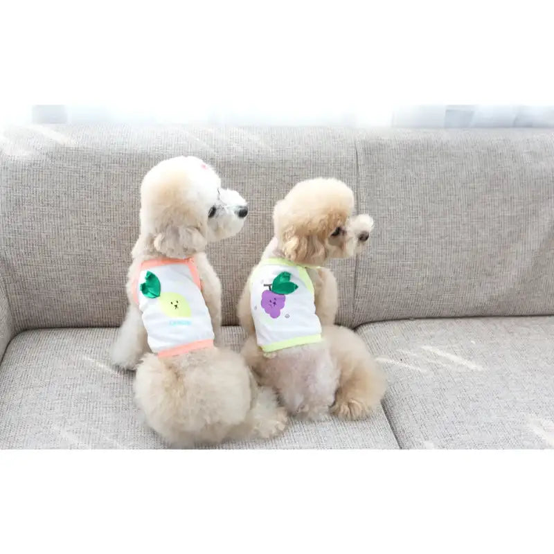 ITSDOG - Pet Fruit Sleeveless Crop Top - ITSDOG - Pet Clothes - Harumio