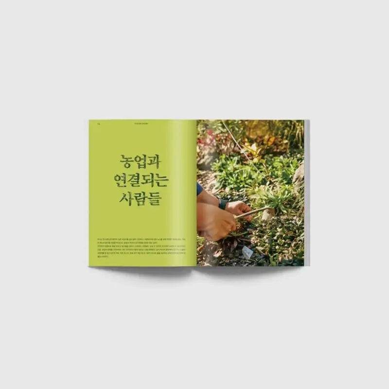 Big Issue - No.286 2022 - Magazine - Big Issue Korea - Magazine - Harumio