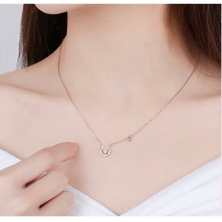 CLUE - Power of Luck February Feather Silver Necklace - CLUE - Jewelry - Harumio