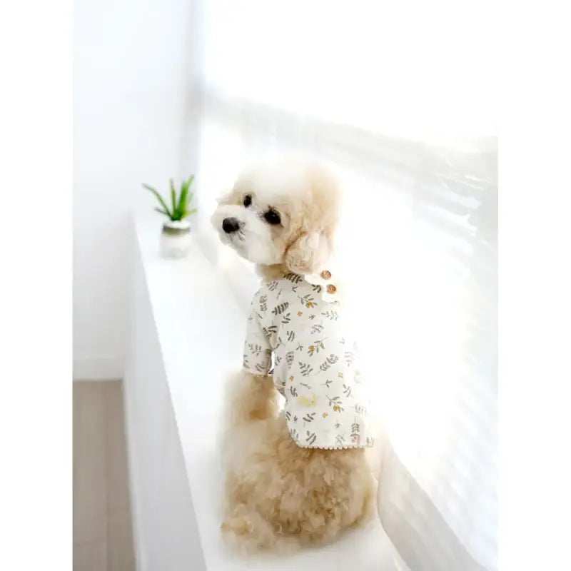 ITSDOG - Pet Organic Botanic Garden T-Shirt - ITSDOG - Pet Clothes - Harumio