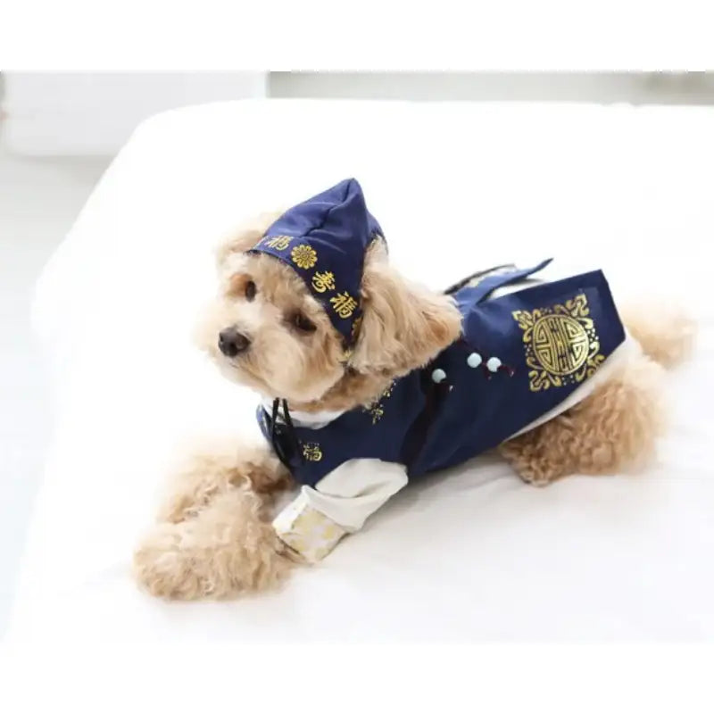 ITSDOG - Handmade Pet Prince Juwon Hanbok - ITSDOG - Pet Clothes - Harumio