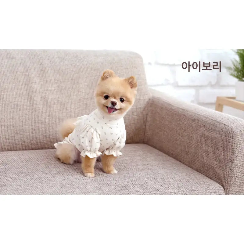 ITSDOG - Pet Versailles Puff T-Shirt - ITSDOG - Pet Clothes - Harumio