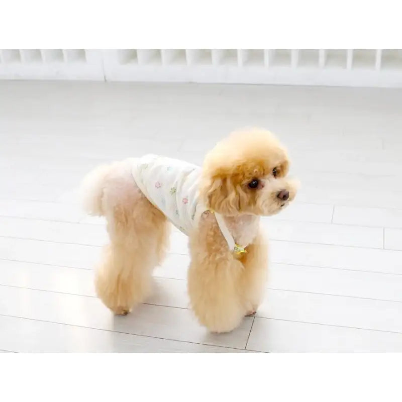 ITSDOG - Pet Organic Baby T-Shirt - ITSDOG - Pet Clothes - Harumio