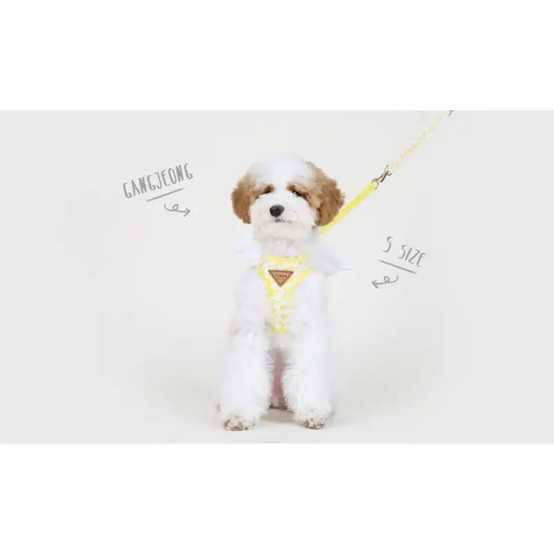 ITSDOG - Pet Harness - ITSDOG - Pet Accesories - Harumio
