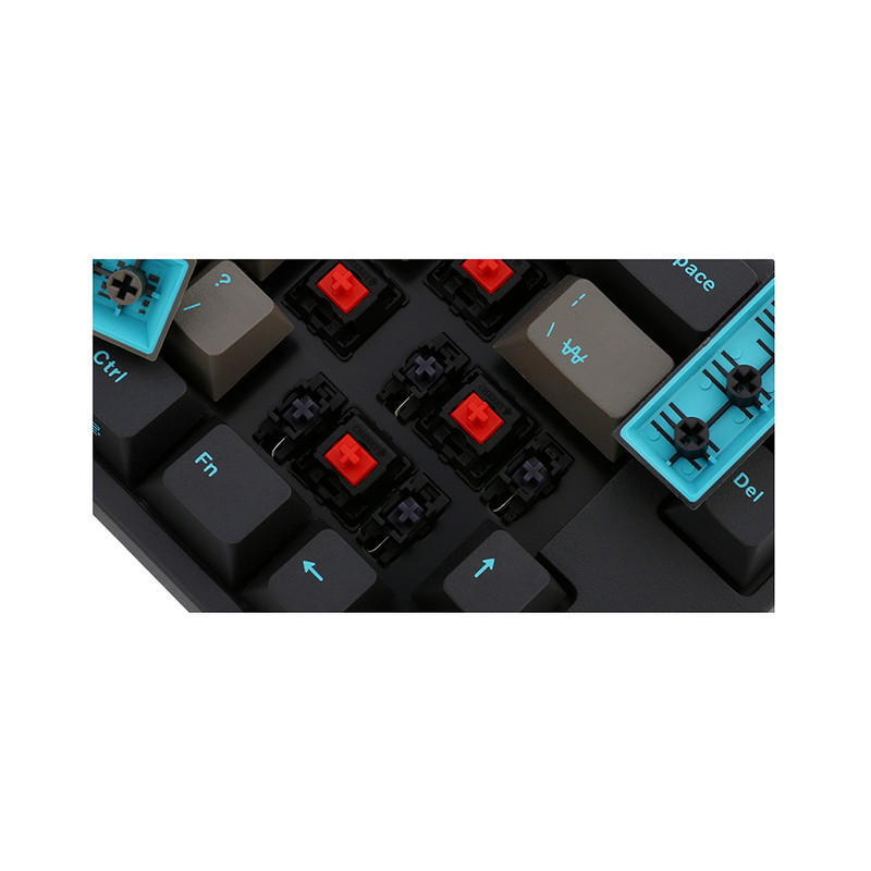 Leopold FC660M PD - Graphite Blue
